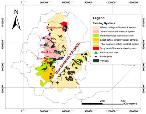   Farming Systems and Soil Fertility in the Ethiopian Highlands: A Journey into Sustainable Practices