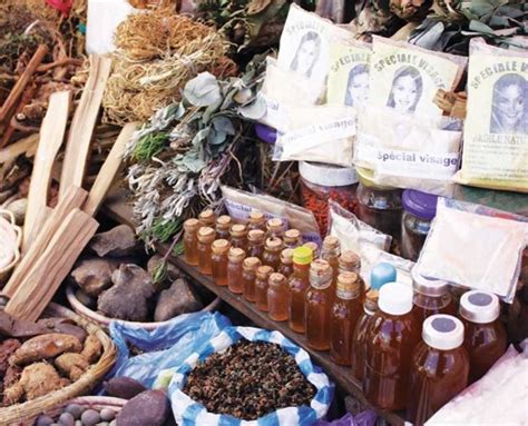  Healing Herbs: A Guide To Ethnobotanical Knowledge In Ethiopia – Unveiling Ancient Wisdom and Sacred Traditions