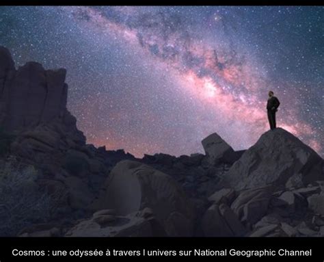 Voyages Extraordinaires: Une Odyssée Imaginaire à Travers la Nature Thaïlandaise